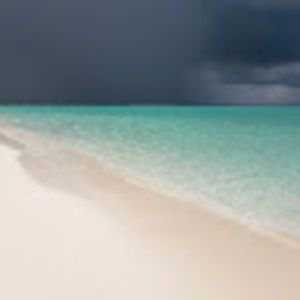 Meet your Posher, Petra